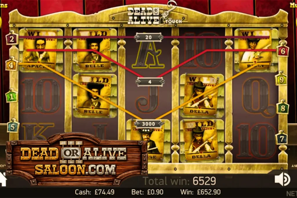 Sticky wilds during free spins in the original Dead or Alive slot